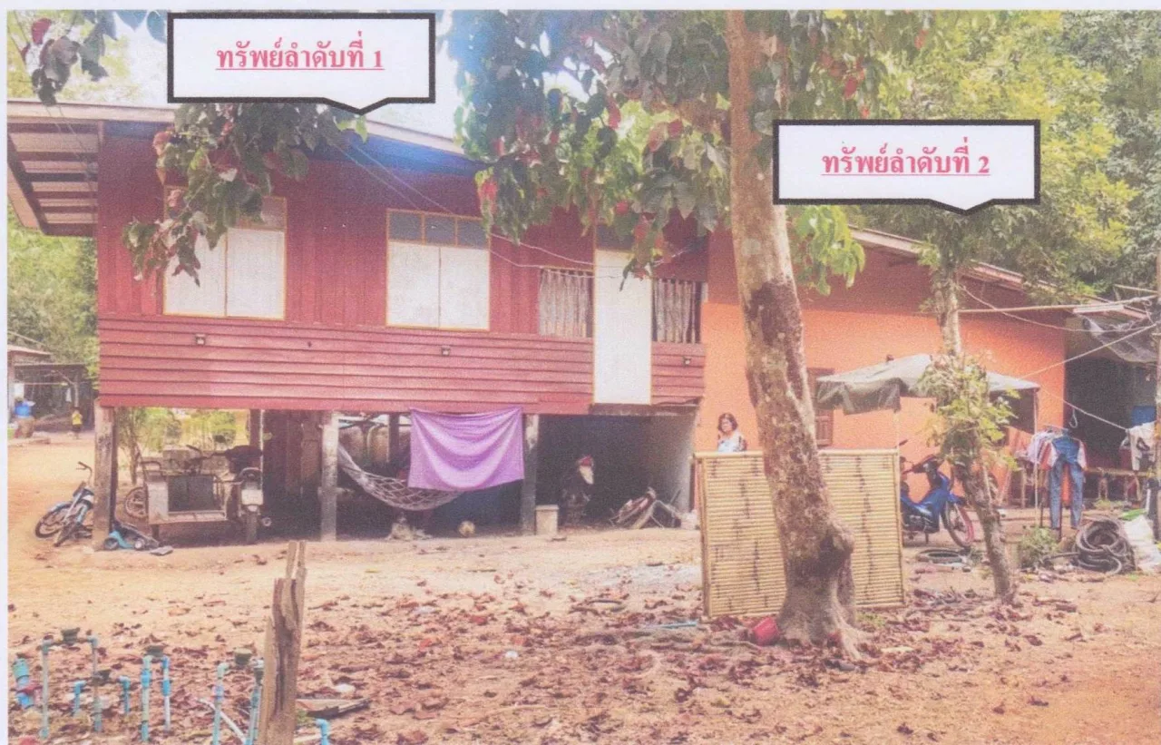 ขายทอดตลาด ที่ดินพร้อมสิ่งปลูกสร้าง ต.เกาะลอย อ.ประจันตคาม จ.ปราจีนบุรี