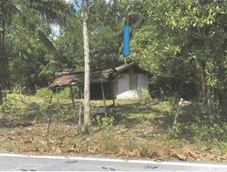 ขายทอดตลาด ที่ดินพร้อมสิ่งปลูกสร้าง ต.ลุโบะสาวอ อ.บาเจาะ จ.นราธิวาส