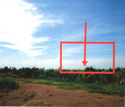 ขายทอดตลาด ที่ดินว่างเปล่า ต.บางปลากด อ.องครักษ์ จ.นครนายก