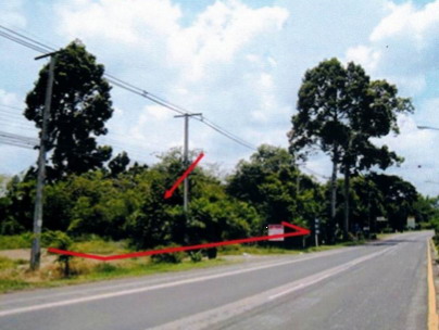 ขายทอดตลาด ที่ดินว่างเปล่า ต.หน้าเมือง อ.เมืองปราจีนบุรี จ.ปราจีนบุรี
