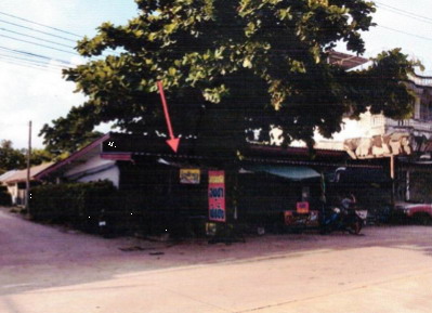 ขายทอดตลาด ที่ดินพร้อมสิ่งปลูกสร้าง ต.หน้าเมือง อ.เมืองปราจีนบุรี จ.ปราจีนบุรี