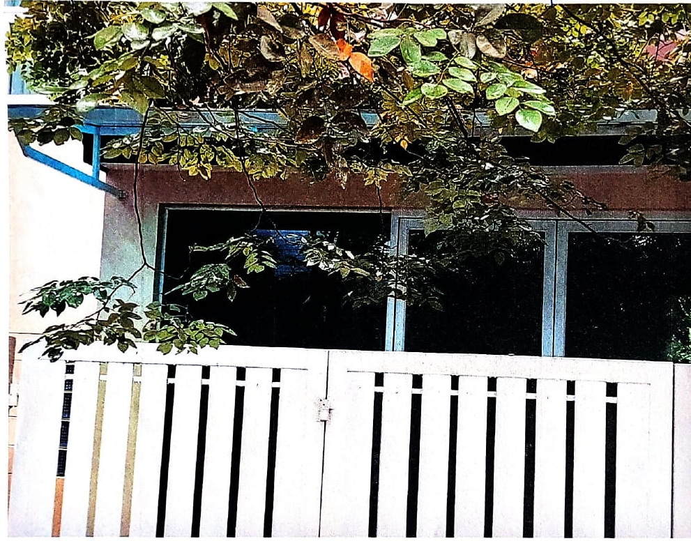 ขายทอดตลาด ที่ดินพร้อมสิ่งปลูกสร้าง ต.ไทรน้อย อ.ไทรน้อย จ.นนทบุรี