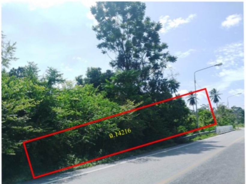 ขายทอดตลาด ที่ดินว่างเปล่า ต.แม่ปุ อ.แม่พริก จ.ลำปาง