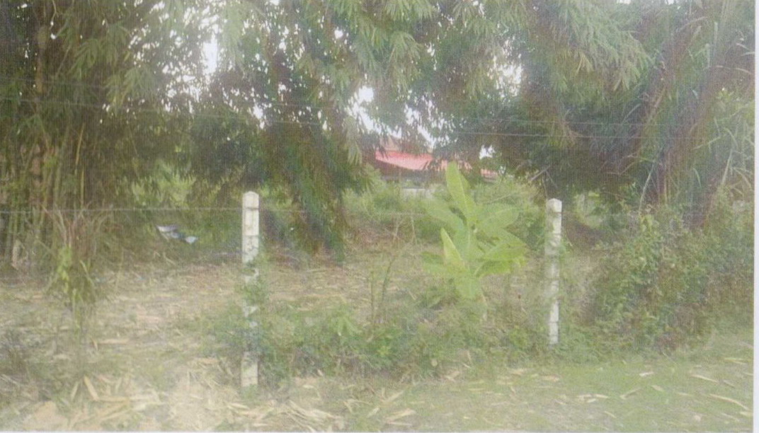 ขายทอดตลาด ที่ดินว่างเปล่า ต.โคกไทย อ.ศรีมโหสถ จ.ปราจีนบุรี
