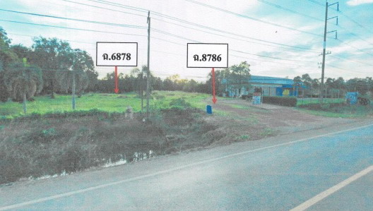 ขายทอดตลาด ที่ดินว่างเปล่า ต.โพธิ์งาม อ.ประจันตคาม จ.ปราจีนบุรี