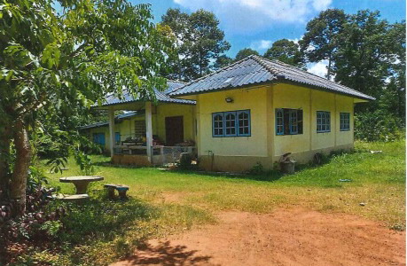 ขายทอดตลาด ที่ดินพร้อมสิ่งปลูกสร้าง ต.บุฝ้าย อ.ประจันตคาม จ.ปราจีนบุรี
