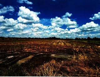 รูปทรัพย์ 1