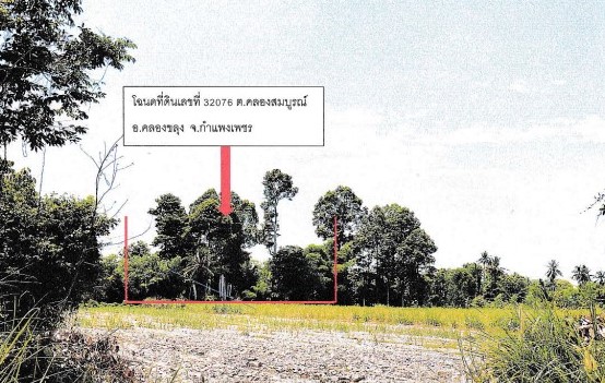 ขายทอดตลาด ที่ดินว่างเปล่า ต.หนองฉิม อ.เนินสง่า จ.ชัยภูมิ