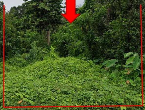 ขายทอดตลาด ที่ดินว่างเปล่า ต.กายูคละ อ.แว้ง จ.นราธิวาส