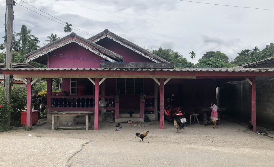 ขายทอดตลาด ที่ดินพร้อมสิ่งปลูกสร้าง ต.โคกสะตอ อ.รือเสาะ จ.นราธิวาส