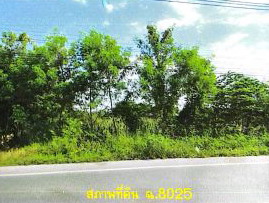ขายทอดตลาด ที่ดินว่างเปล่า ต.ไทรน้อย อ.ไทรน้อย จ.นนทบุรี