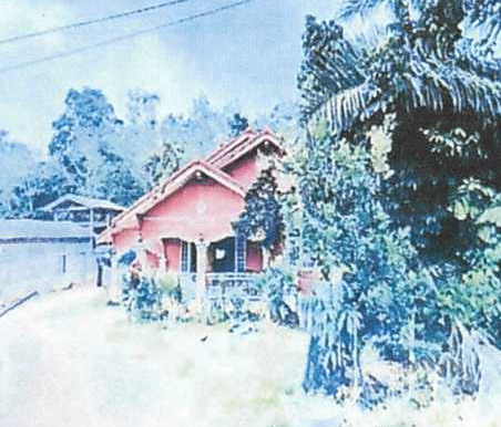 ขายทอดตลาด ที่ดินพร้อมสิ่งปลูกสร้าง ต.บาโงสะโต อ.ระแงะ จ.นราธิวาส