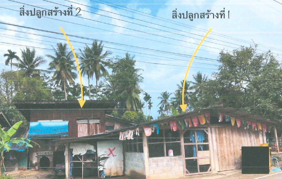 ขายทอดตลาด ที่ดินพร้อมสิ่งปลูกสร้าง ต.เชิงคีรี อ.ศรีสาคร จ.นราธิวาส