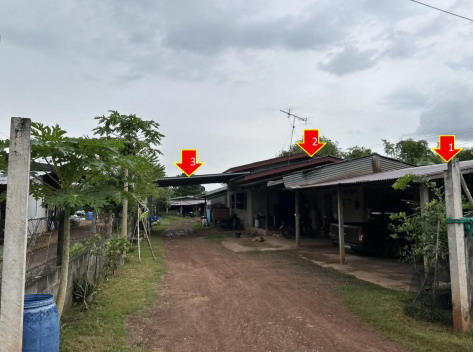 ขายทอดตลาด ที่ดินพร้อมสิ่งปลูกสร้าง ต.โคกปีบ อ.ศรีมโหสถ จ.ปราจีนบุรี