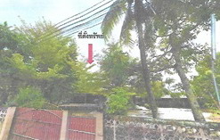 ขายทอดตลาด ที่ดินพร้อมสิ่งปลูกสร้าง ต.ลำภู อ.เมืองนราธิวาส จ.นราธิวาส