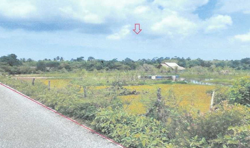 ขายทอดตลาด ที่ดินว่างเปล่า ต.บาเระเหนือ อ.บาเจาะ จ.นราธิวาส