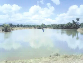 รูปทรัพย์ 12