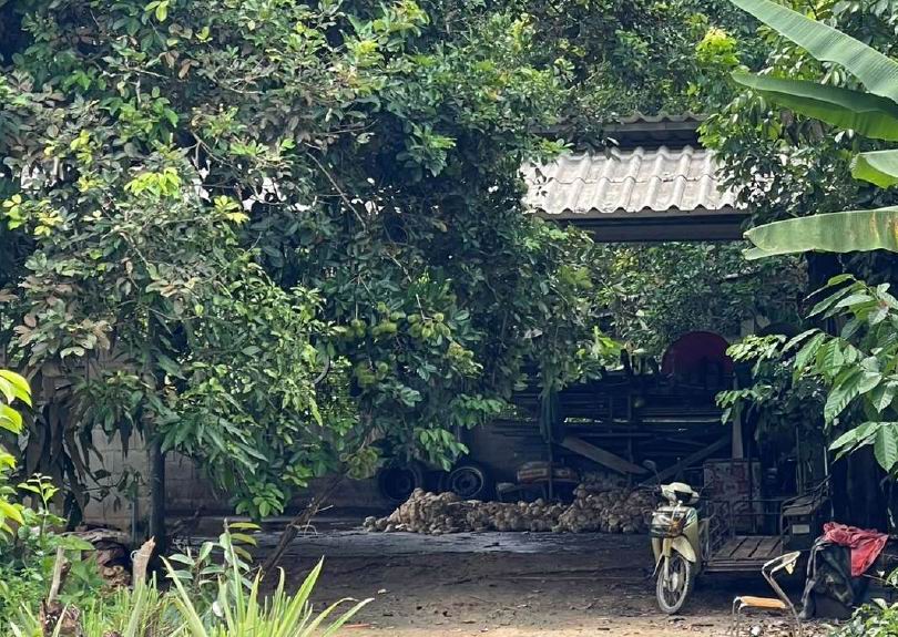ขายทอดตลาด ที่ดินพร้อมสิ่งปลูกสร้าง ต.กาวะ อ.สุไหงปาดี จ.นราธิวาส