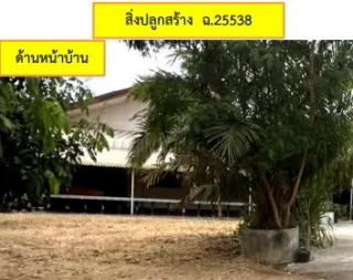 รูปทรัพย์ 2