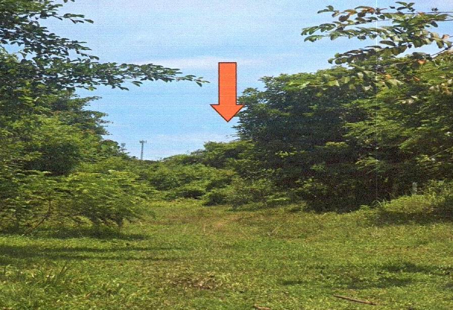 ขายทอดตลาด ที่ดินว่างเปล่า ต.สุไหงโก-ลก อ.สุไหงโก-ลก จ.นราธิวาส