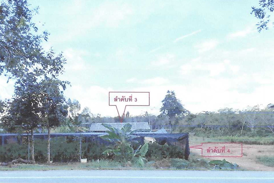 ขายทอดตลาด ที่ดินพร้อมสิ่งปลูกสร้าง ต.ตันหยงลิมอ อ.ระแงะ จ.นราธิวาส