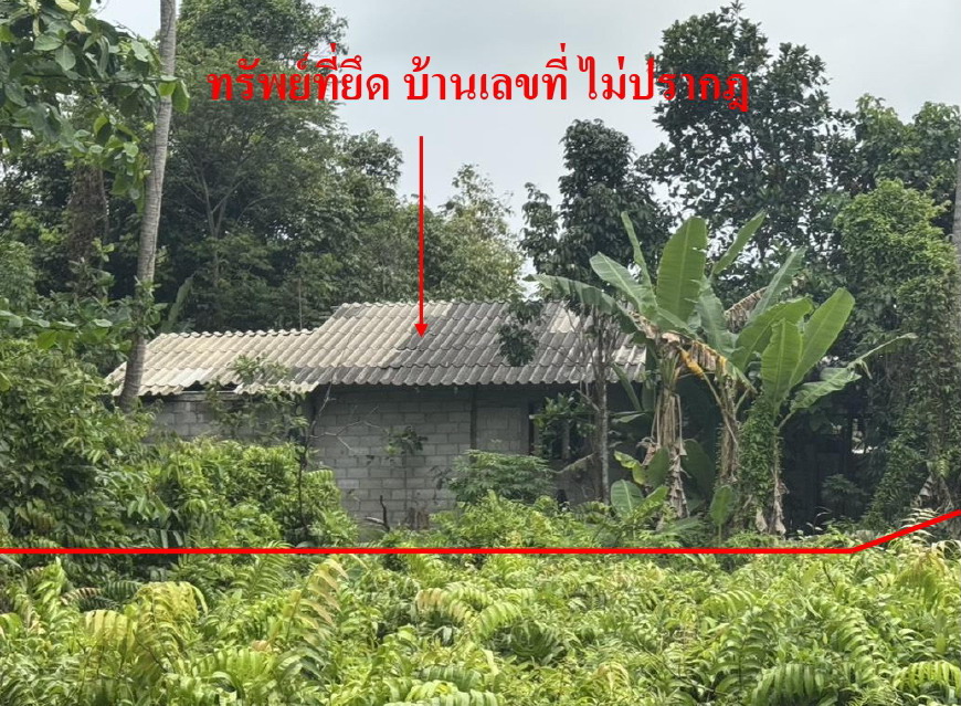 ขายทอดตลาด ที่ดินพร้อมสิ่งปลูกสร้าง ต.โคกเคียน อ.เมืองนราธิวาส จ.นราธิวาส