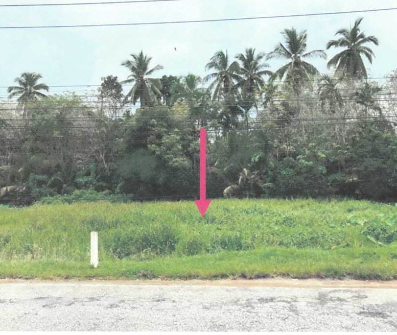 ขายทอดตลาด ที่ดินว่างเปล่า ต.มะรือโบตก อ.ระแงะ จ.นราธิวาส