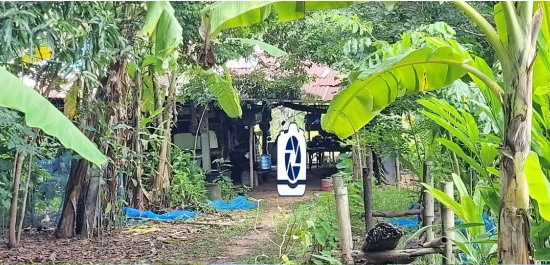 ขายทอดตลาด ที่ดินพร้อมสิ่งปลูกสร้าง ต.บ่อแก้ว อ.นาคู จ.กาฬสินธุ์