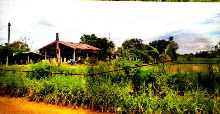 ขายทอดตลาด ที่ดินพร้อมสิ่งปลูกสร้าง ต.โค้งไผ่ อ.ขาณุวรลักษบุรี จ.กำแพงเพชร