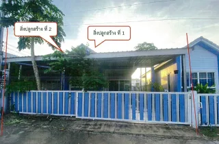 รูปทรัพย์ 2