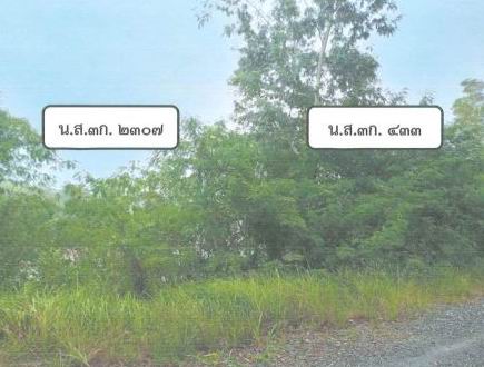 ขายทอดตลาด ที่ดินว่างเปล่า ต.ควนหนองหงษ์ อ.ชะอวด จ.นครศรีธรรมราช