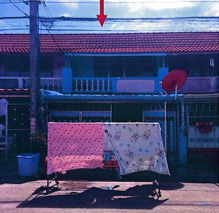 ขายทอดตลาด ที่ดินพร้อมสิ่งปลูกสร้าง ต.บางแม่นาง อ.บางใหญ่ จ.นนทบุรี