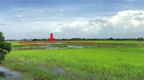 ขายทอดตลาด ที่ดินว่างเปล่า ต.ไม้เค็ด อ.เมืองปราจีนบุรี จ.ปราจีนบุรี