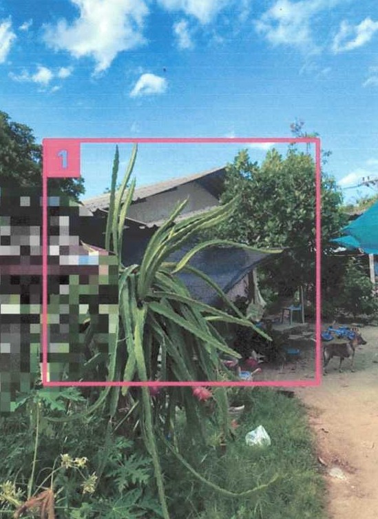 ขายทอดตลาด ที่ดินพร้อมสิ่งปลูกสร้าง ต.บางนาค อ.เมืองนราธิวาส จ.นราธิวาส