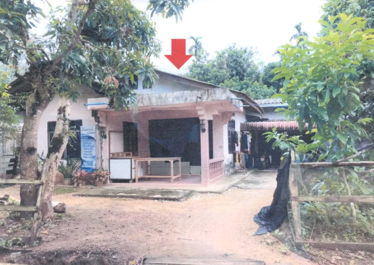 ขายทอดตลาด ที่ดินพร้อมสิ่งปลูกสร้าง ต.บาโงสะโต อ.ระแงะ จ.นราธิวาส