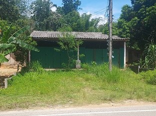 ขายทอดตลาด ที่ดินพร้อมสิ่งปลูกสร้าง ต.ศรีสาคร อ.ศรีสาคร จ.นราธิวาส