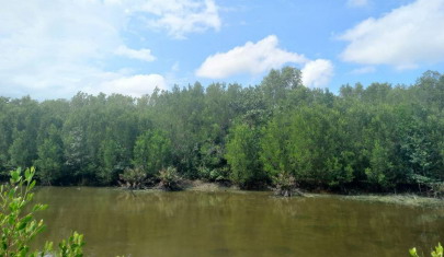 ขายทอดตลาด ที่ดินว่างเปล่า ต.ท่าซัก อ.เมืองนครศรีธรรมราช จ.นครศรีธรรมราช