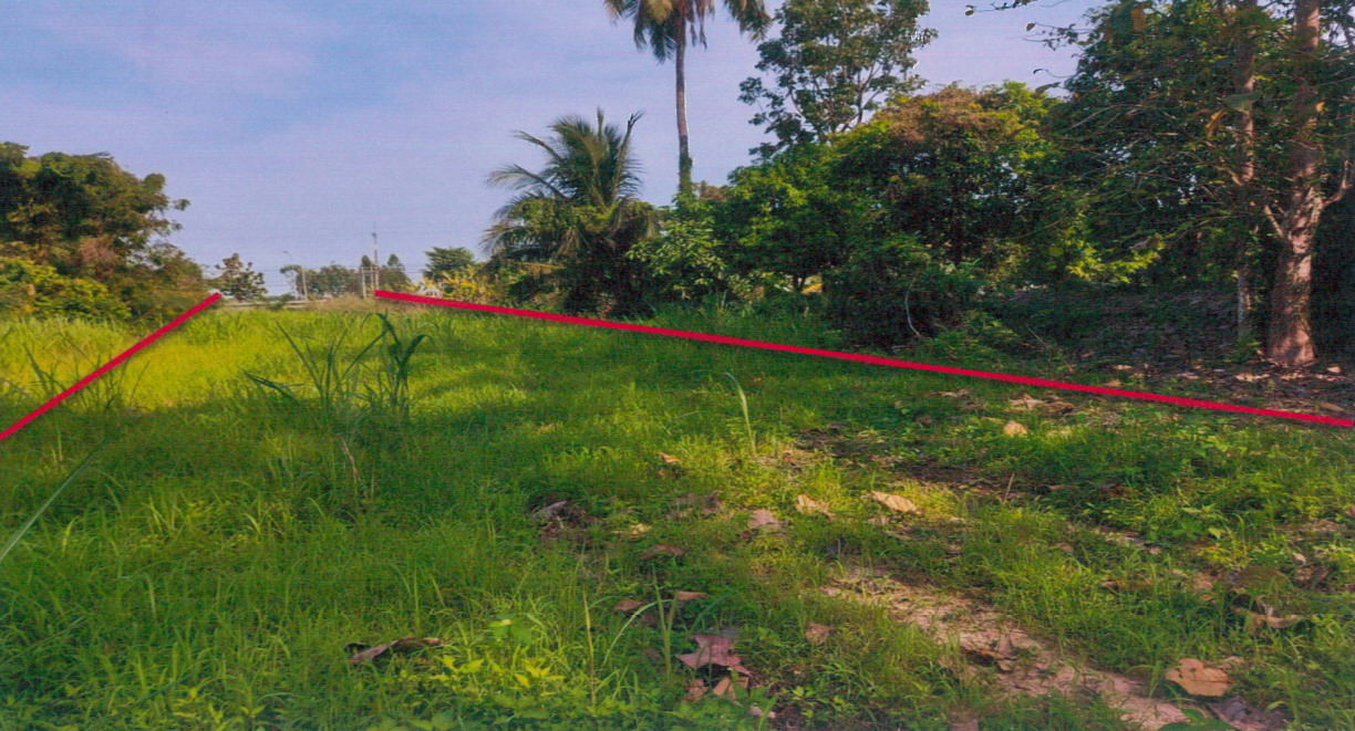 ขายทอดตลาด ที่ดินว่างเปล่า ต.ท่าพุทรา อ.คลองขลุง จ.กำแพงเพชร
