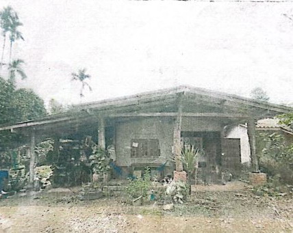 ขายทอดตลาด ที่ดินพร้อมสิ่งปลูกสร้าง ต.กรุงชิง อ.นบพิตำ จ.นครศรีธรรมราช
