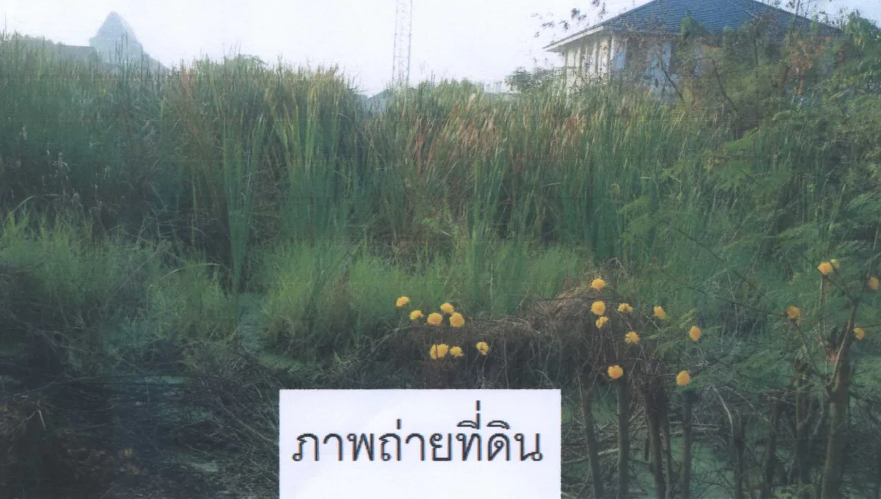 ขายทอดตลาด ที่ดินว่างเปล่า ต.บางแม่นาง อ.บางใหญ่ จ.นนทบุรี