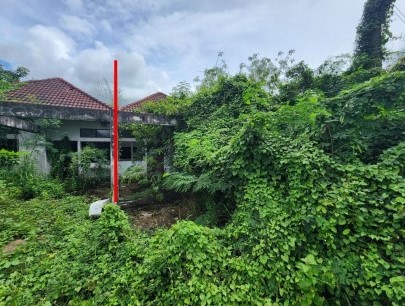 ขายทอดตลาด ที่ดินพร้อมสิ่งปลูกสร้าง ต.พรานกระต่าย อ.พรานกระต่าย จ.กำแพงเพชร