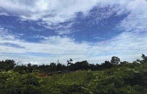 ขายทอดตลาด ที่ดินว่างเปล่า ต.ท่าตูม อ.ศรีมหาโพธิ จ.ปราจีนบุรี