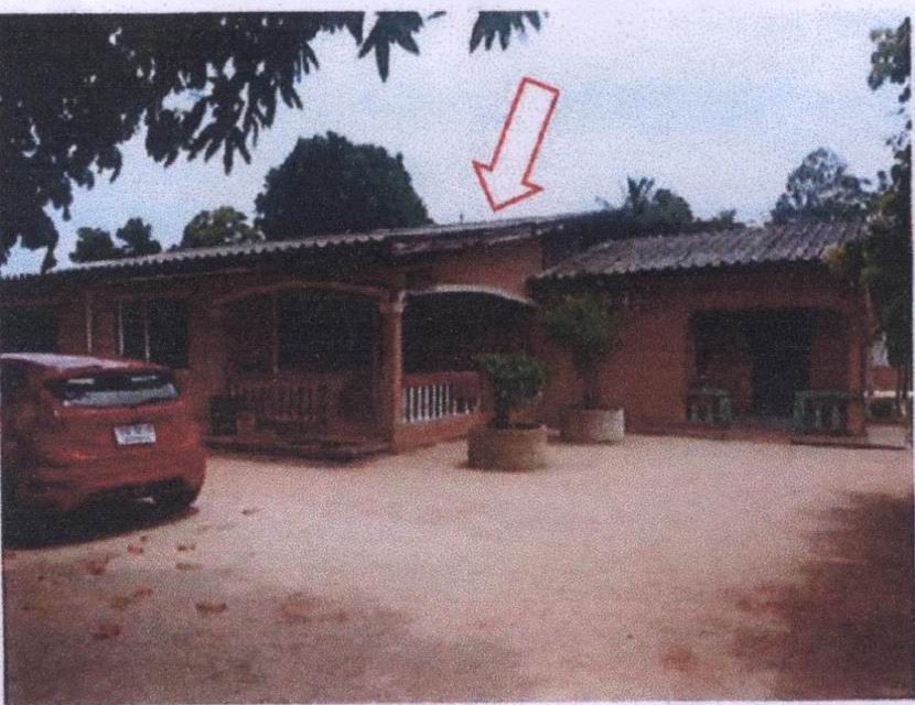 ขายทอดตลาด ที่ดินพร้อมสิ่งปลูกสร้าง ต.โคกเคียน อ.เมืองนราธิวาส จ.นราธิวาส