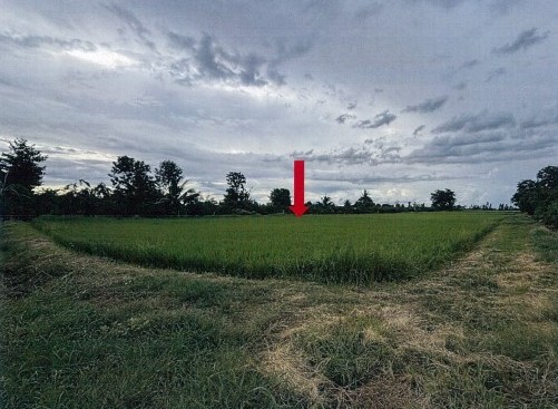 ขายทอดตลาด ที่ดินว่างเปล่า ต.นิคมทุ่งโพธิ์ทะเล อ.เมืองกำแพงเพชร จ.กำแพงเพชร