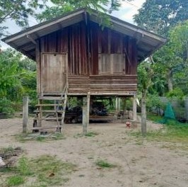 ขายทอดตลาด ที่ดินพร้อมสิ่งปลูกสร้าง ต.ช้างซ้าย อ.กิ่งอำเภอพระพรหม จ.นครศรีธรรมราช