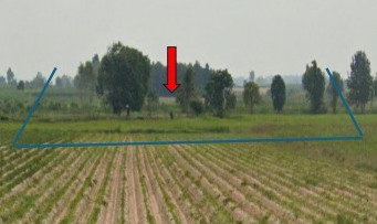 ขายทอดตลาด ที่ดินว่างเปล่า ต.หนองบัว อ.หนองกุงศรี จ.กาฬสินธุ์