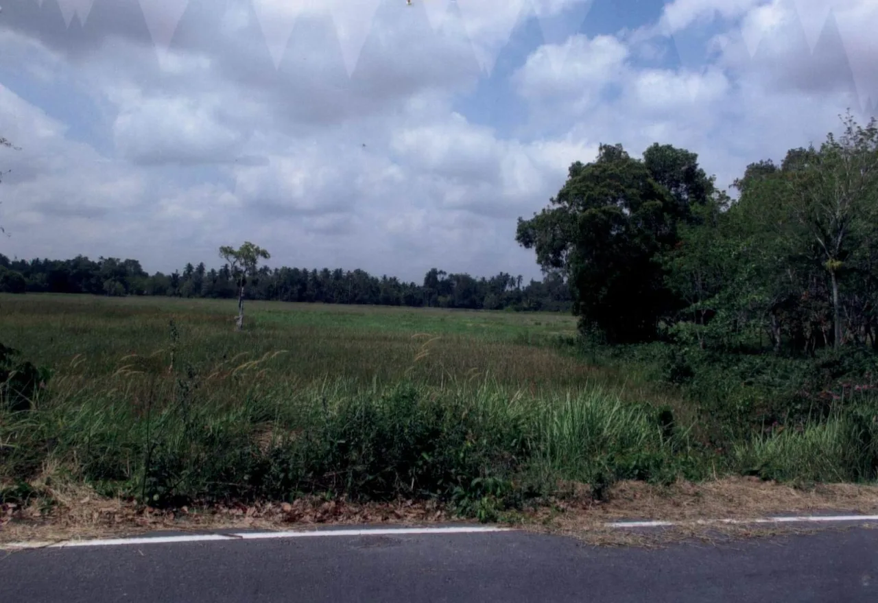 ขายทอดตลาด ที่ดินว่างเปล่า ต.ไพรวัน อ.ตากใบ จ.นราธิวาส