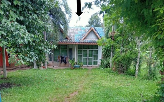 ขายทอดตลาด ที่ดินพร้อมสิ่งปลูกสร้าง ต.ควนหนองหงษ์ อ.ชะอวด จ.นครศรีธรรมราช