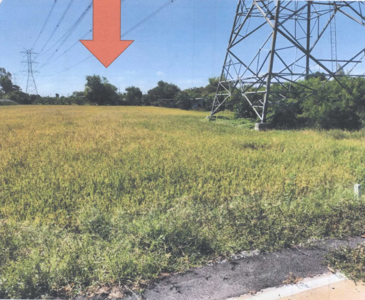 ขายทอดตลาด ที่ดินว่างเปล่า ต.บางบัวทอง อ.บางบัวทอง จ.นนทบุรี