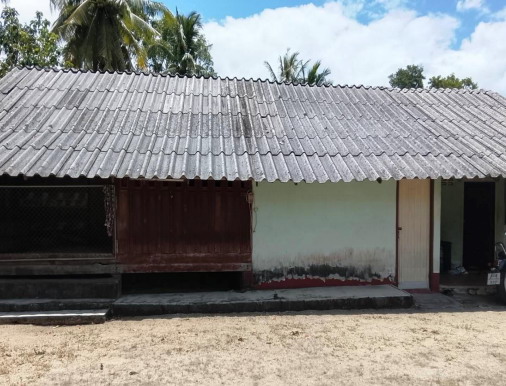 ขายทอดตลาด ที่ดินพร้อมสิ่งปลูกสร้าง ต.ท่าขึ้น อ.ท่าศาลา จ.นครศรีธรรมราช